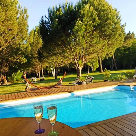 Les Pins Perdus Bed & Breakfast Saint-Ciers-d'Abzac Bagian luar foto