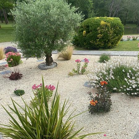 Les Pins Perdus Bed & Breakfast Saint-Ciers-d'Abzac Bagian luar foto
