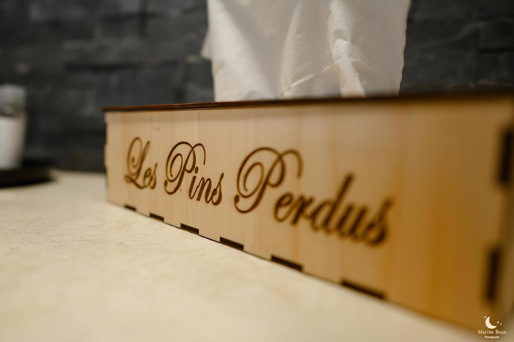 Les Pins Perdus Bed & Breakfast Saint-Ciers-d'Abzac Bagian luar foto
