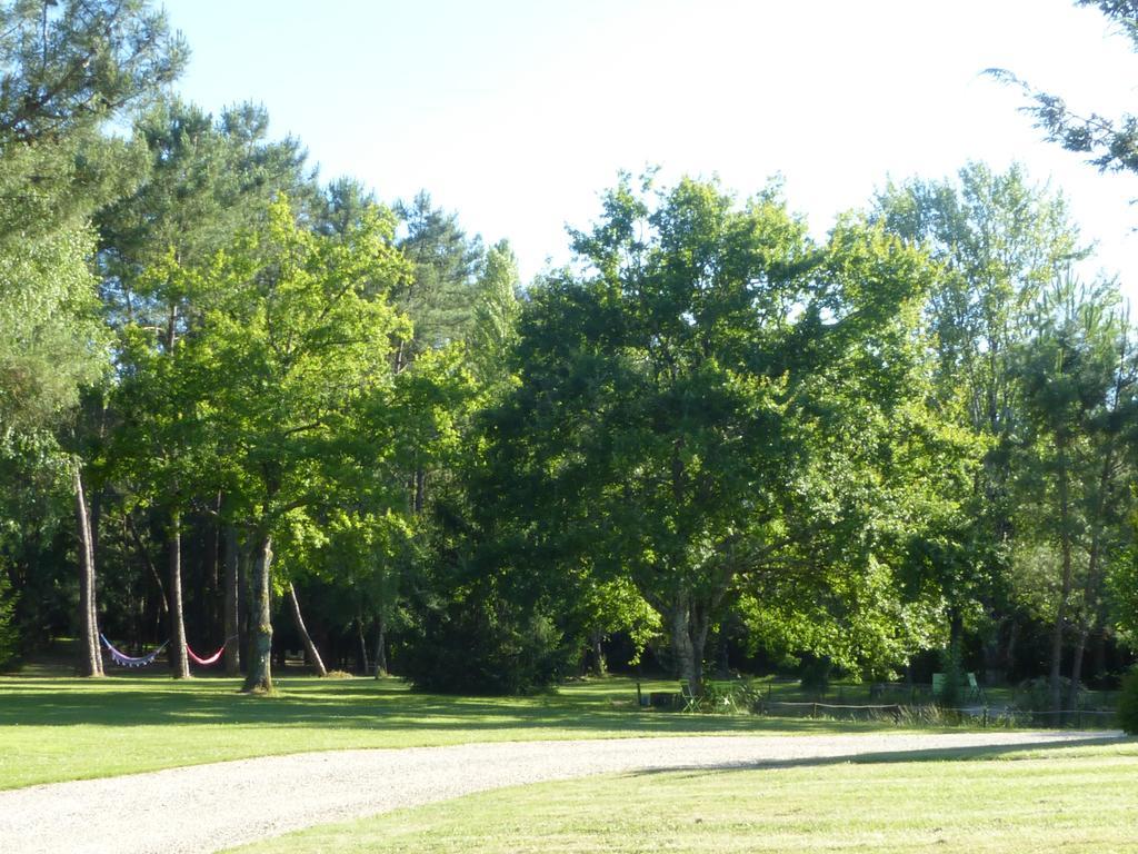 Les Pins Perdus Bed & Breakfast Saint-Ciers-d'Abzac Bagian luar foto